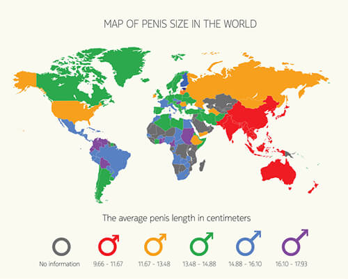 Penisgröße Welt Vergleich